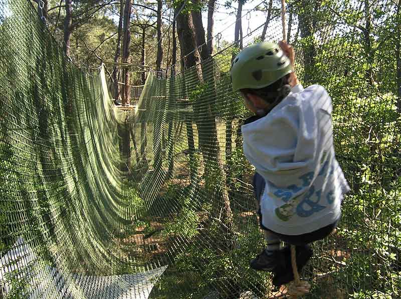 trapeze mygale foret adrénaline